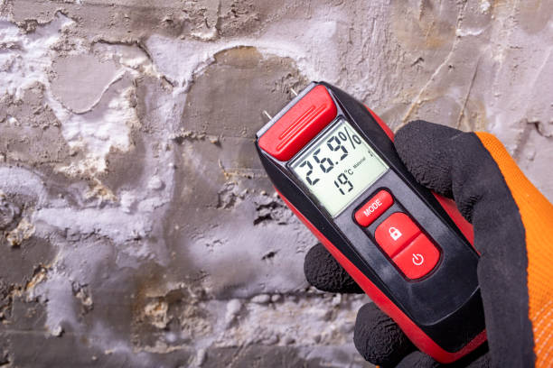 Best Mold Remediation for Specific Building Types in Rehobeth, AL