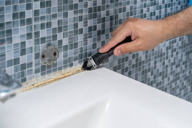 Best Basement Mold Remediation in Rehobeth, AL
